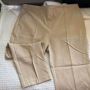 Rachel Zoe Tailored Pants in Beige